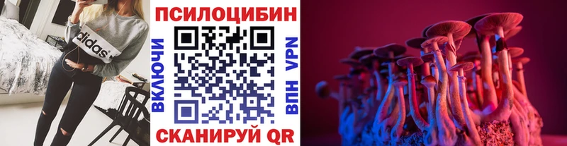 Галлюциногенные грибы мицелий Брюховецкая